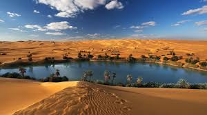 Fayoum desert tour from Cairo