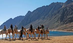 best recommendations to tour in Sharm El-Sheikh and Dahab