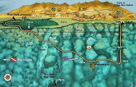 best recommendations to tour in Sharm El-Sheikh and Dahab