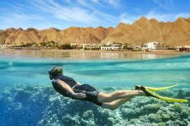 best recommendations to tour in Sharm El-Sheikh and Dahab