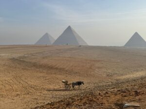 cheapest tour to Giza Plateau