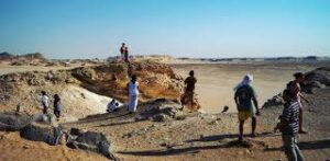 the cheapest tour to White Desert Adventure