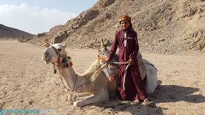 10-Day Tour Package | Cairo – Hurghada – Luxor