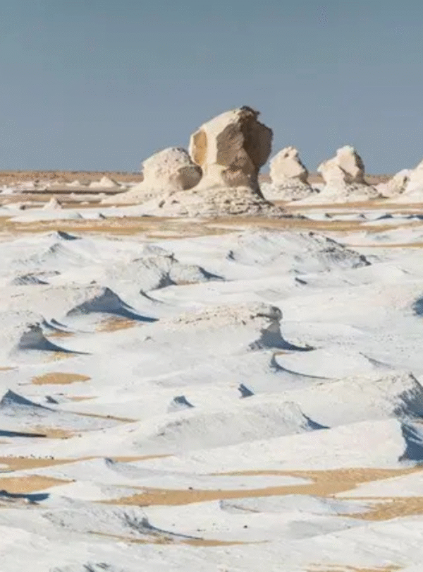 white desert