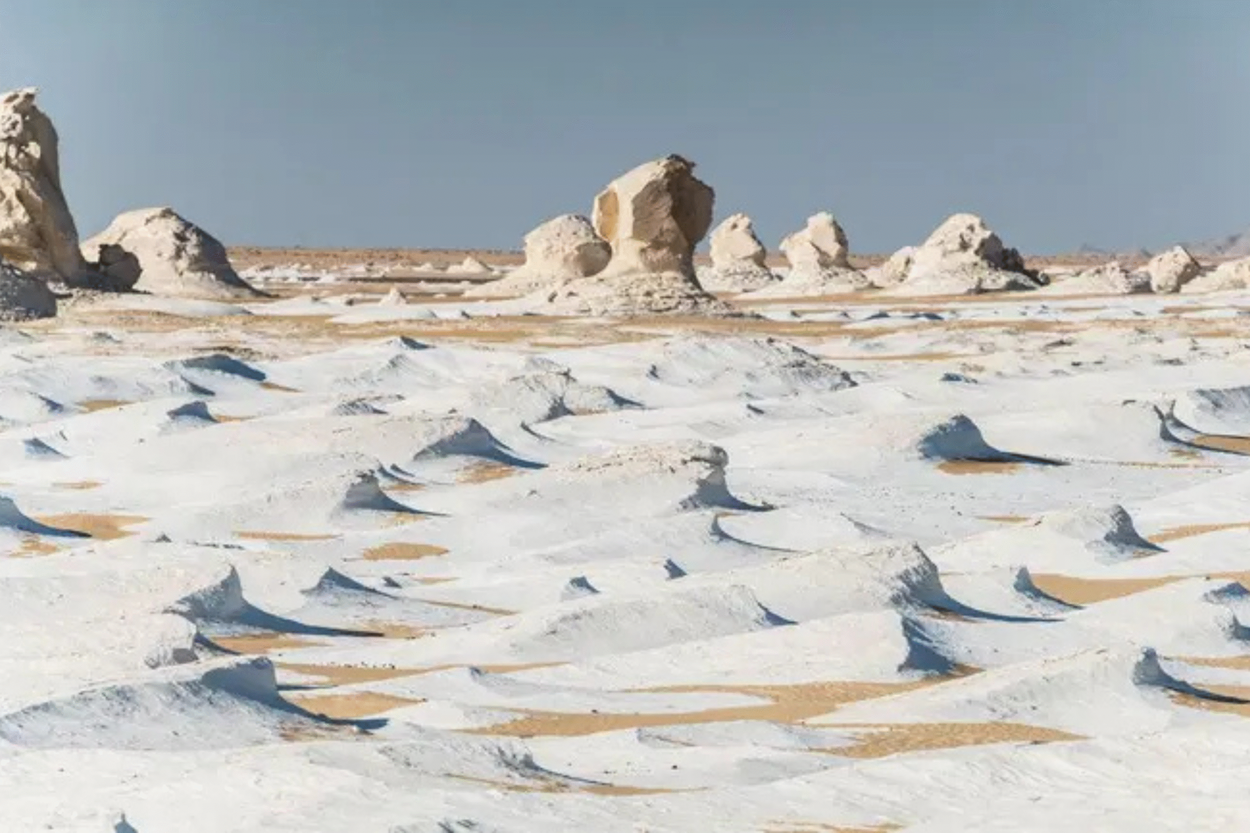 white desert