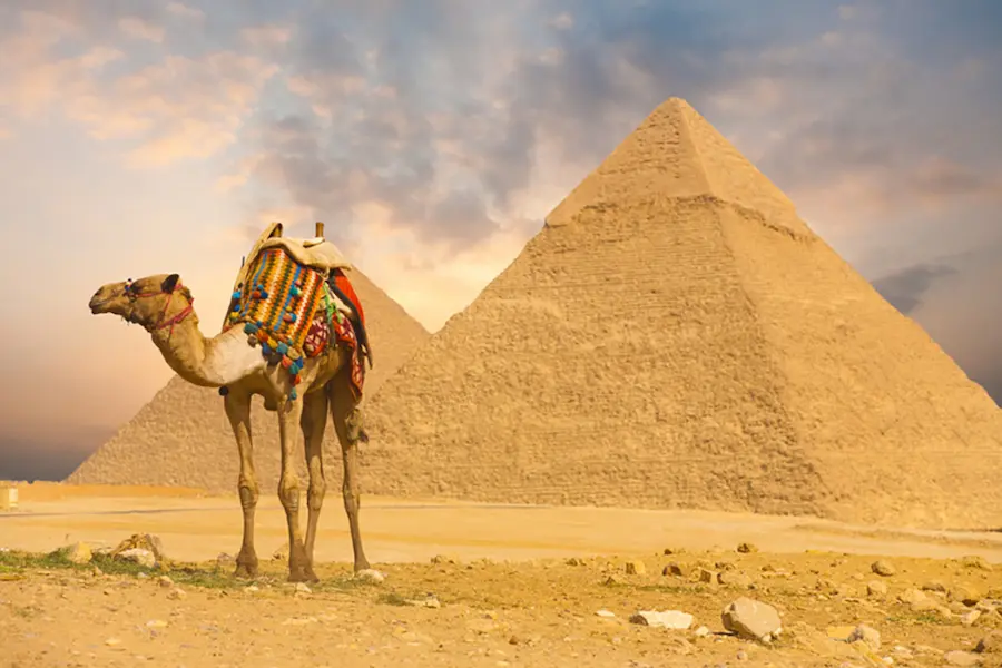 How Can Solo Travelers Experience Egypt Safely and Comfortably?