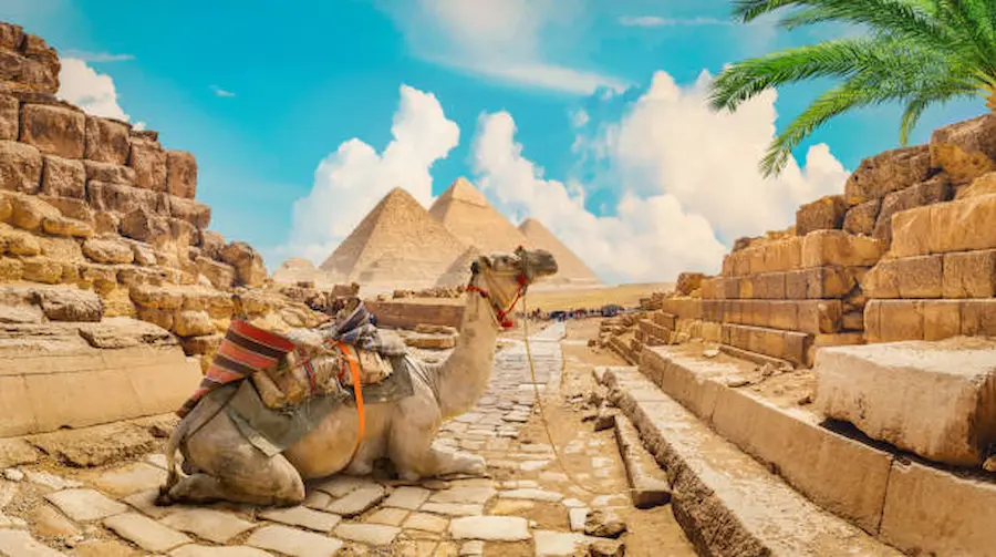 Why Choose Licensed Experts Like Momo Tours for Egypt Tours 2025?