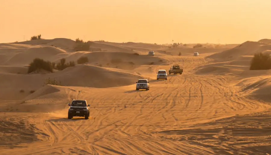 Which Desert Safari Activities Are Best for First-Time Visitors?