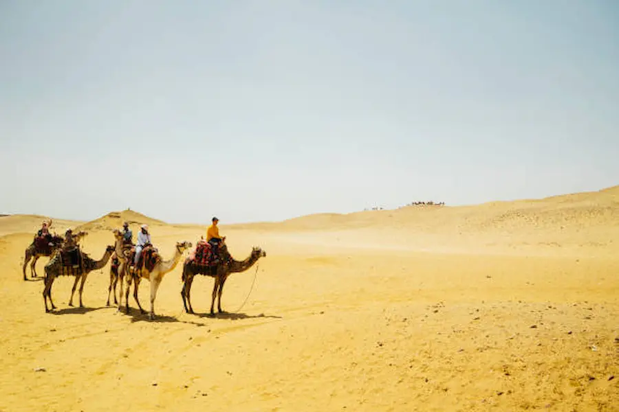 How Can Momo Tours Egypt Ensure a Safe Desert Safari Experience?