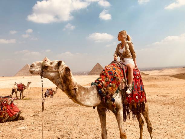 Туры в Египет из Москвы все включено – отдых без забот с momo tours egypt