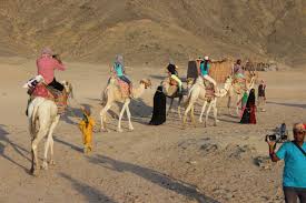 Esplora La vita dei Beduini in Egitto: tradizioni, cultura ed esperienza beduina autentica nel Sinai