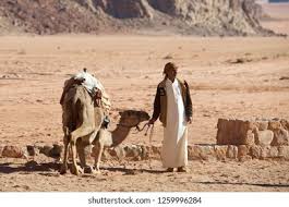 cheapest tour to Siwa Oasis