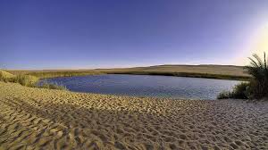 the White Desert Tour