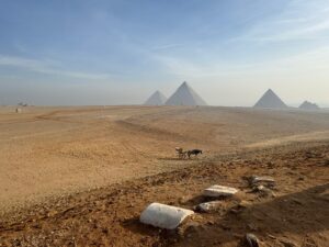  пирамиды Гизы и Саккара