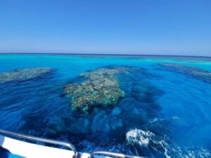 White Desert camping tours in Egypt for adventure seekers