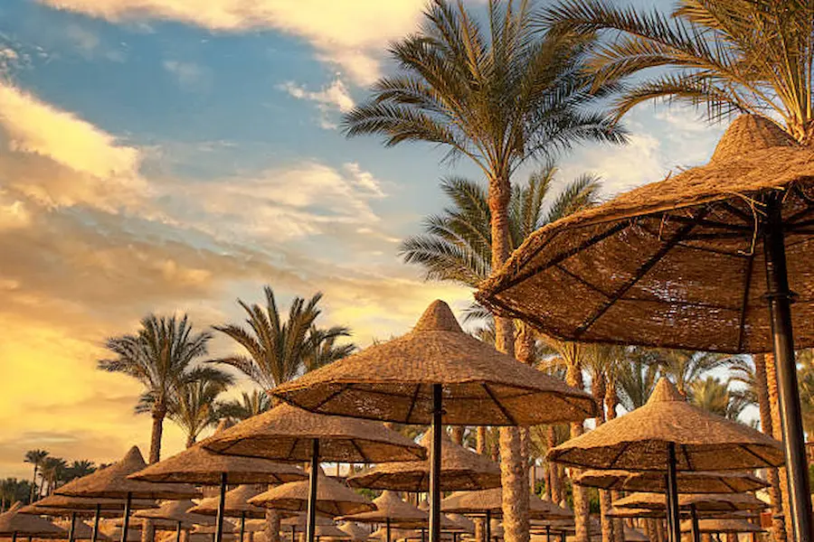 Eden Viaggi Egitto: La Guida Completa per un Viaggio Indimenticabile con Momo tours Egypt