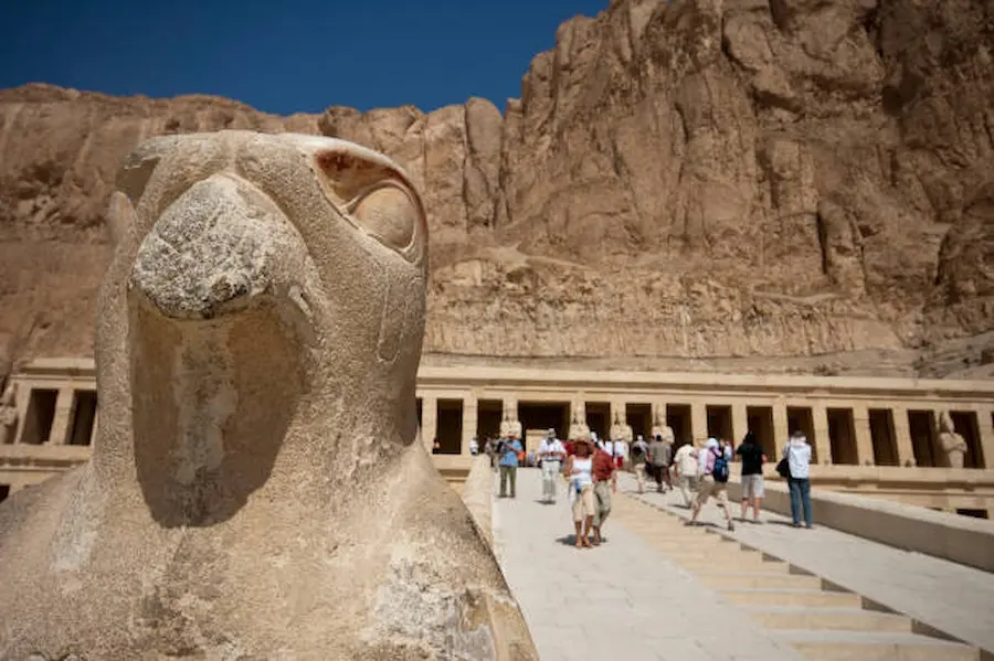 Come vivere le esperienze gastronomiche a civitatis egitto?