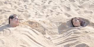 Best desert and wellness tours in Egypt combining nature and therapy