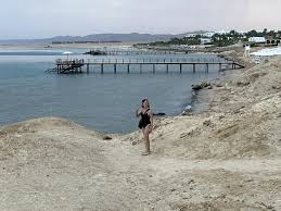 Лучший тур в Марса Алам Египет для русских туристов с перелетом и проживанием: коралловые рифы Красного моря в Египте для дайвинга и снорклинга, идеальная неделя отдыха на море