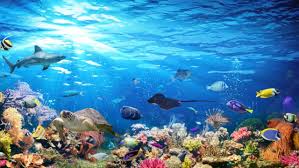 埃及红海马萨阿拉姆最适合中国游客的最佳旅游行程