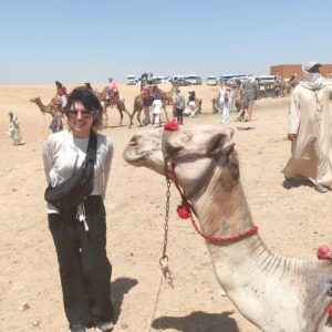 how to get the best tour in the pyramids in egypt