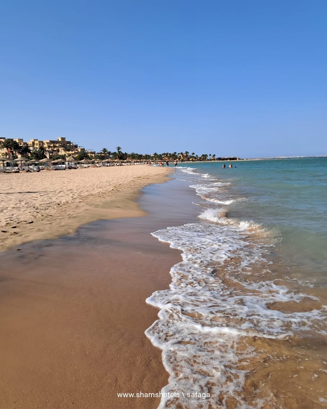 Hurghada Snorkeling & Island Trips 2027: Giftun Island, Dolphins & Kitesurfing in Safaga