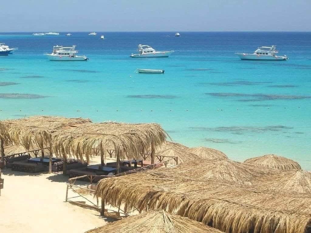 Hurghada Snorkeling & Island Trips 2027: Giftun Island, Dolphins & Kitesurfing in Safaga